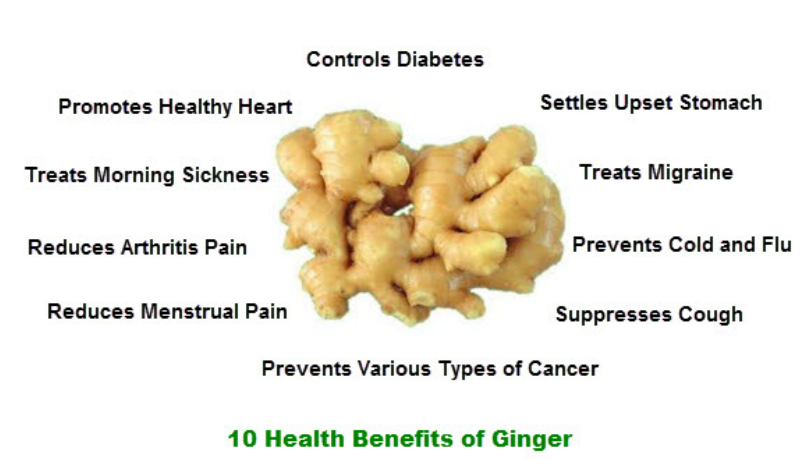 USE OF GINGER